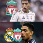 You have to get used to the uncertain situation (13)