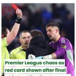Leeds United manager Daniel Farke was sent off after the final whistle for confronting referee Peter Bankes following the 1-0 defeat to Manchester City at Elland Road. images (20)